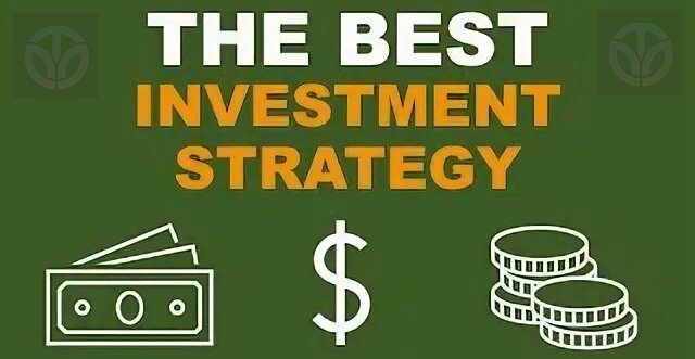 Investment Strategies