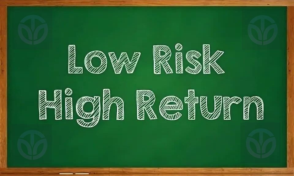 Best high-return investments 2024
